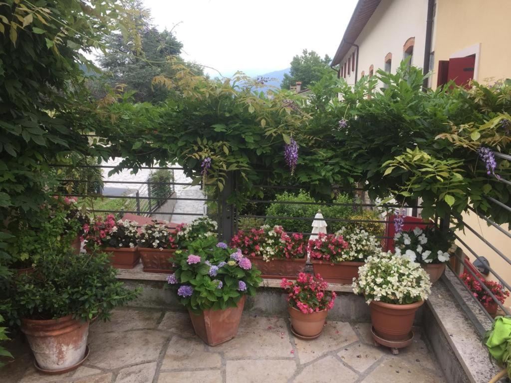 La Casa Del Glicine Hotel Tarzo Luaran gambar